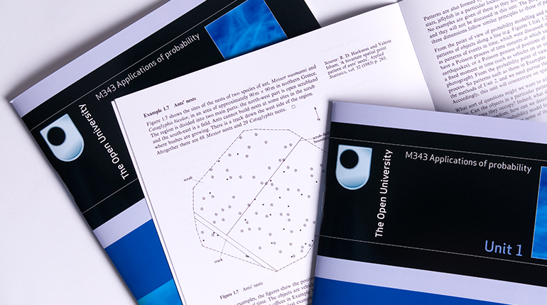 Single Portfolio Image